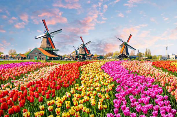 Tempat wisata terbaik di Belanda